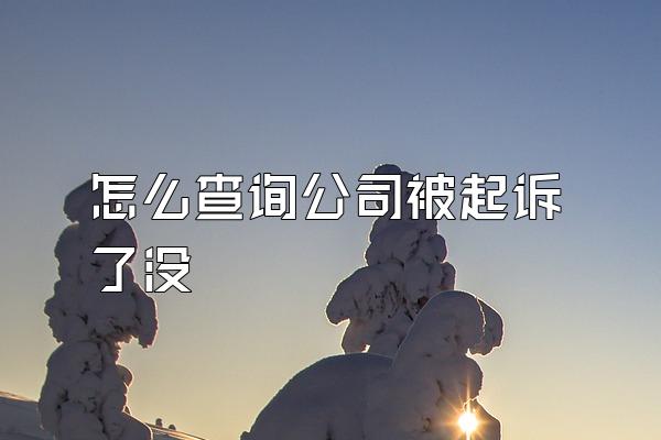 怎么查询公司被起诉了没