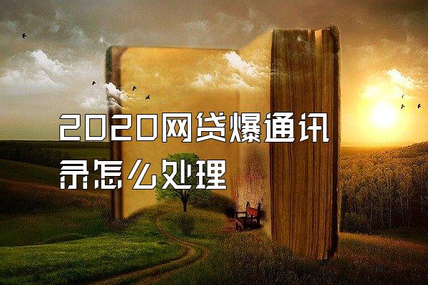 2020网贷爆通讯录怎么处理