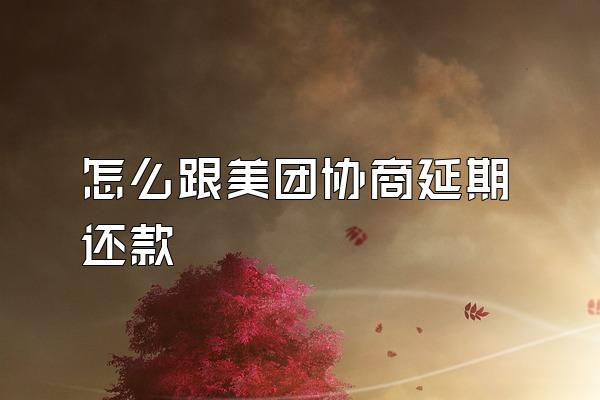 怎么跟美团协商延期还款