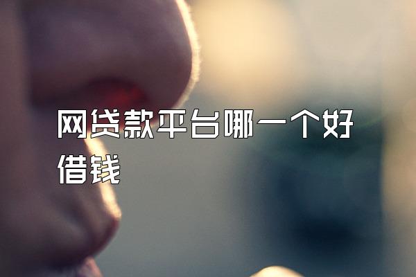 网贷款平台哪一个好借钱