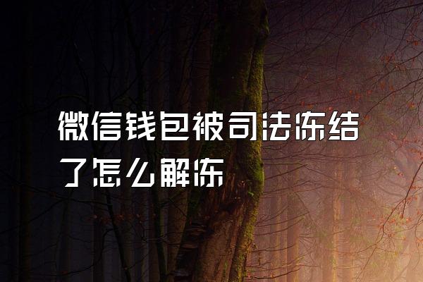 微信钱包被司法冻结了怎么解冻