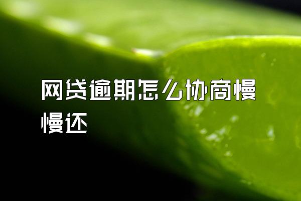 网贷逾期怎么协商慢慢还