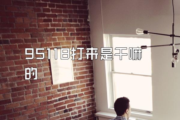 95118打来是干嘛的