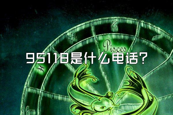 95118是什么电话?
