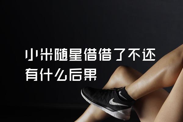 小米随星借借了不还有什么后果
