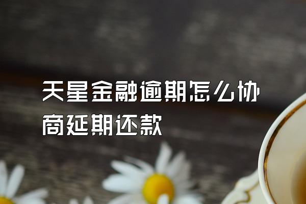 天星金融逾期怎么协商延期还款