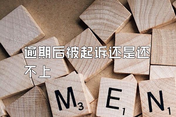 逾期后被起诉还是还不上