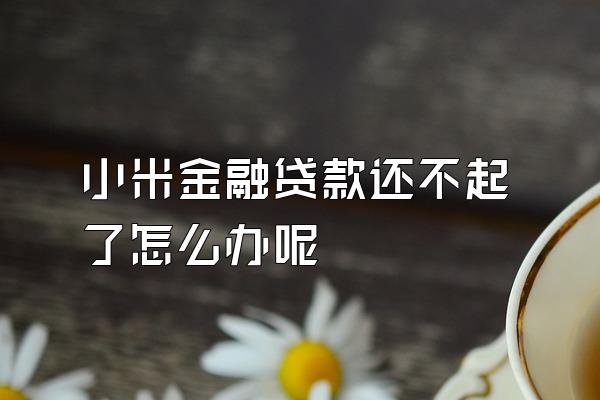 小米金融贷款还不起了怎么办呢