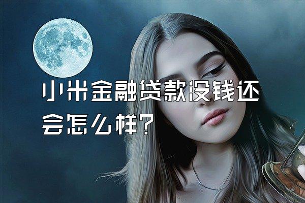 小米金融贷款没钱还会怎么样?