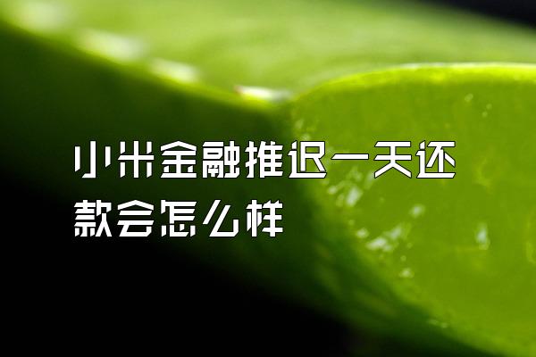 小米金融推迟一天还款会怎么样