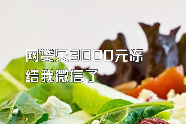 网贷欠3000元冻结我微信了