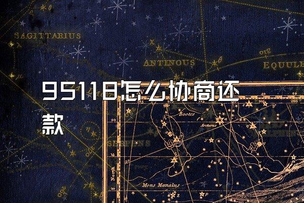 95118怎么协商还款