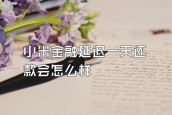小米金融延迟一天还款会怎么样