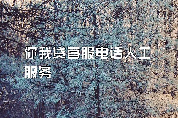 你我贷客服电话人工服务