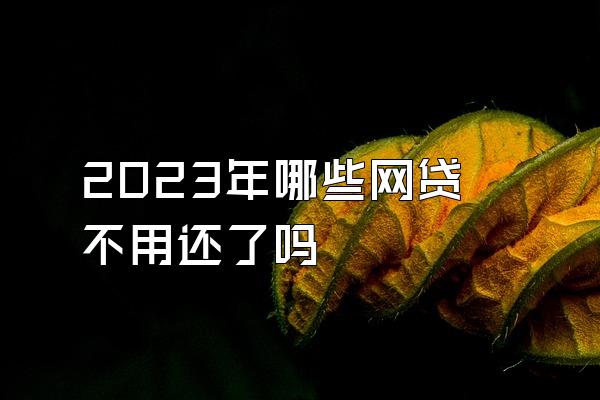 2023年哪些网贷不用还了吗