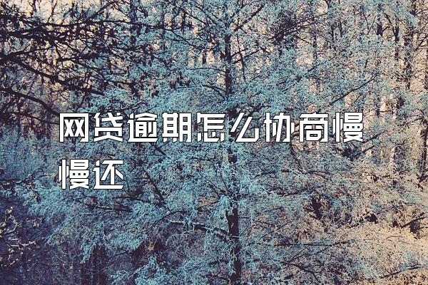 网贷逾期怎么协商慢慢还