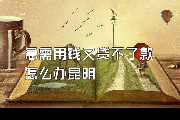 急需用钱又贷不了款怎么办昆明