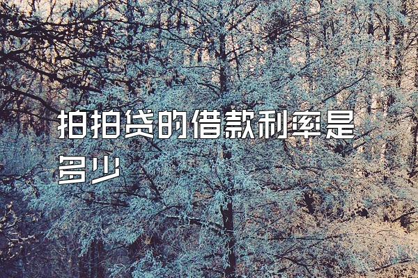 拍拍贷的借款利率是多少