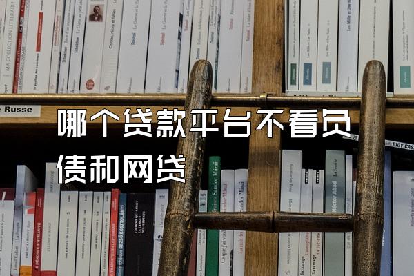 哪个贷款平台不看负债和网贷