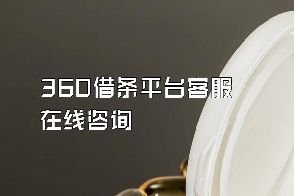 360借条平台客服在线咨询