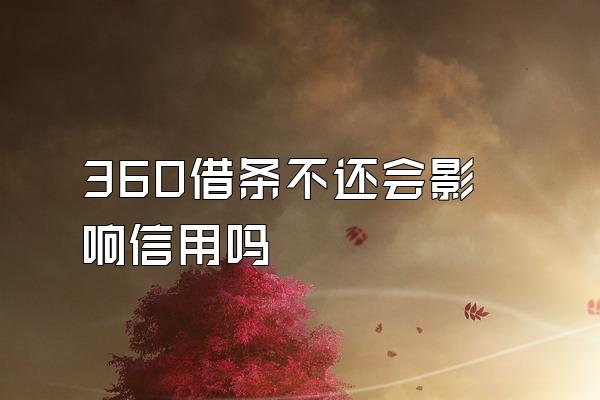 360借条不还会影响信用吗