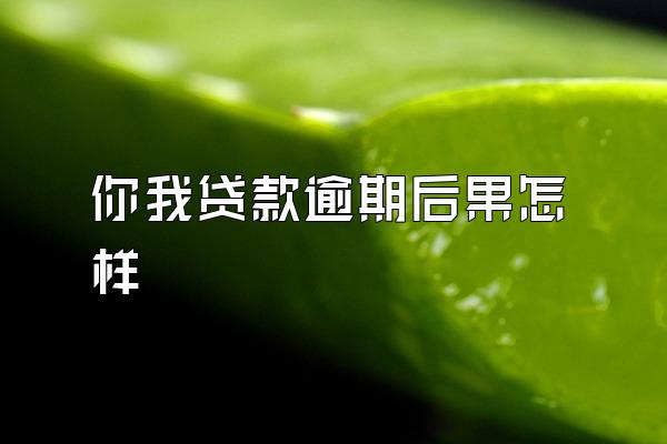 你我贷款逾期后果怎样