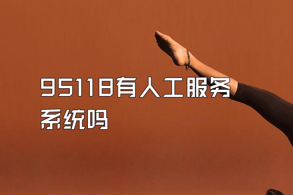 95118有人工服务系统吗