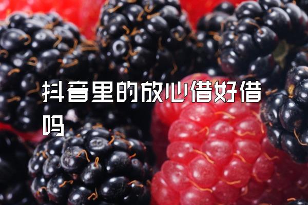 抖音里的放心借好借吗