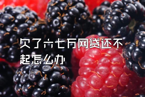 欠了六七万网贷还不起怎么办
