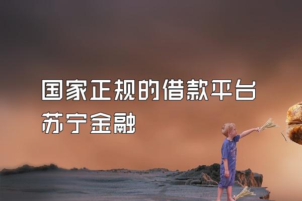 国家正规的借款平台苏宁金融