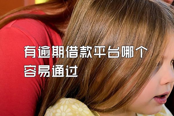 有逾期借款平台哪个容易通过