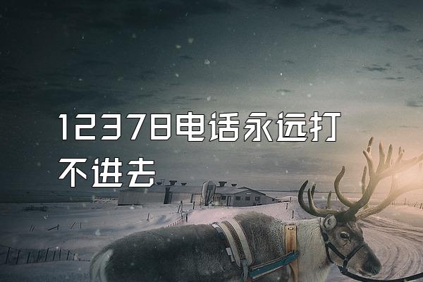 12378电话永远打不进去