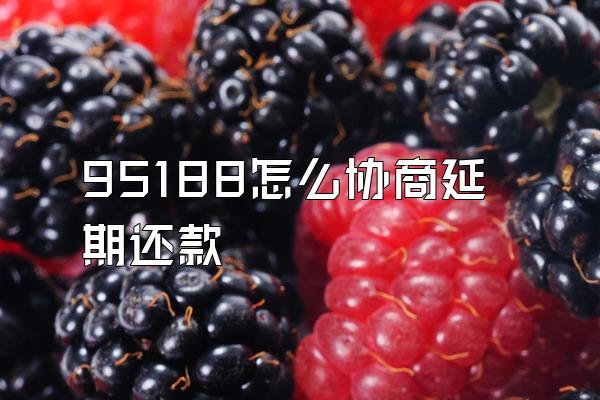 95188怎么协商延期还款