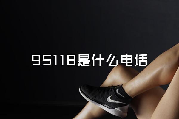 95118是什么电话