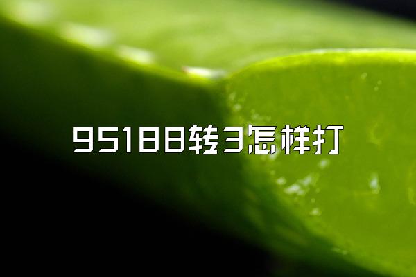 95188转3怎样打