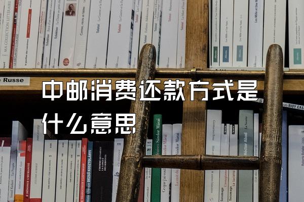 中邮消费还款方式是什么意思