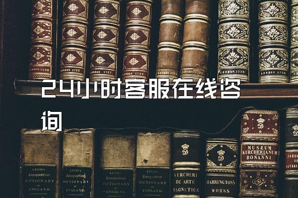 24小时客服在线咨询