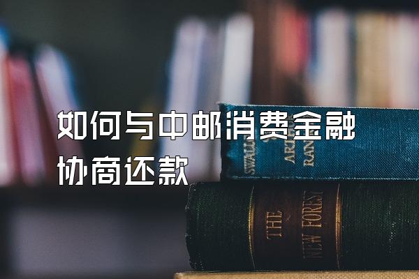 如何与中邮消费金融协商还款