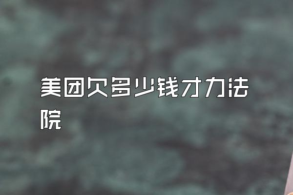 美团欠多少钱才力法院