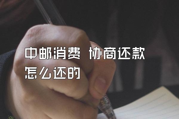 中邮消费 协商还款怎么还的