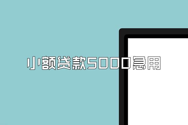 小额贷款5000急用