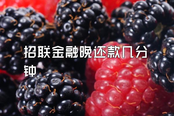 招联金融晚还款几分钟