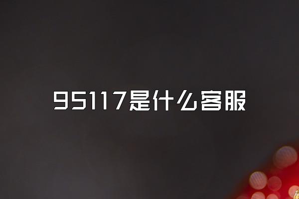 95117是什么客服