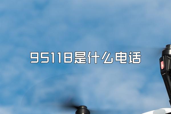 95118是什么电话
