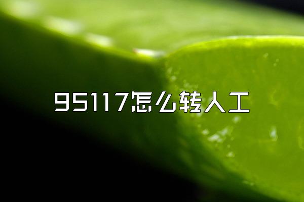 95117怎么转人工