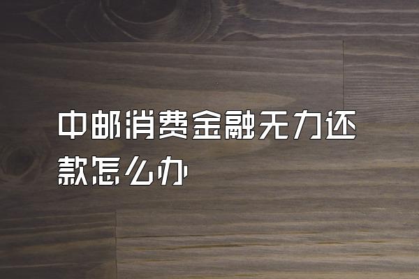 中邮消费金融无力还款怎么办