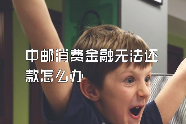 中邮消费金融无法还款怎么办