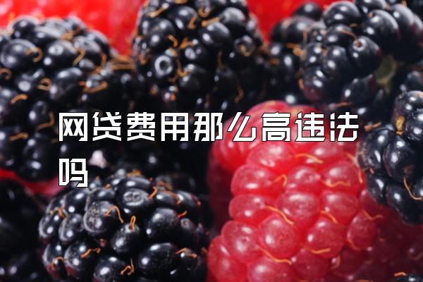 网贷费用那么高违法吗