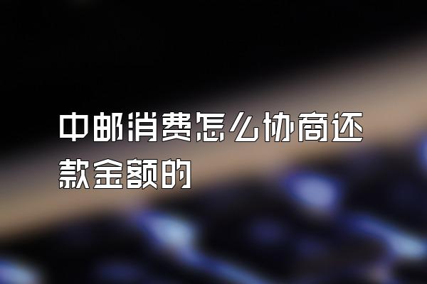 中邮消费怎么协商还款金额的