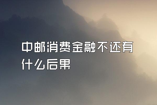 中邮消费金融不还有什么后果